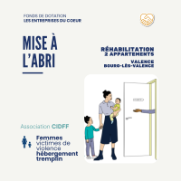 CIDFF2