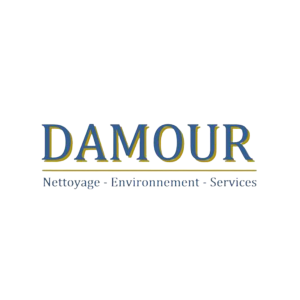 DAMOUR NETTOYAGE