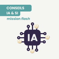 Conseils SI IA 1